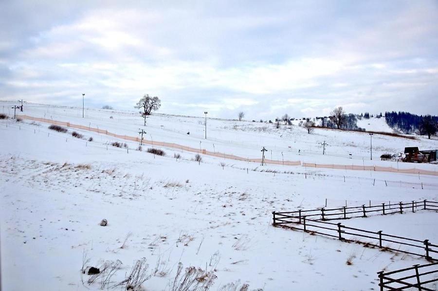 Kominkowa Willa Zakopane Luaran gambar